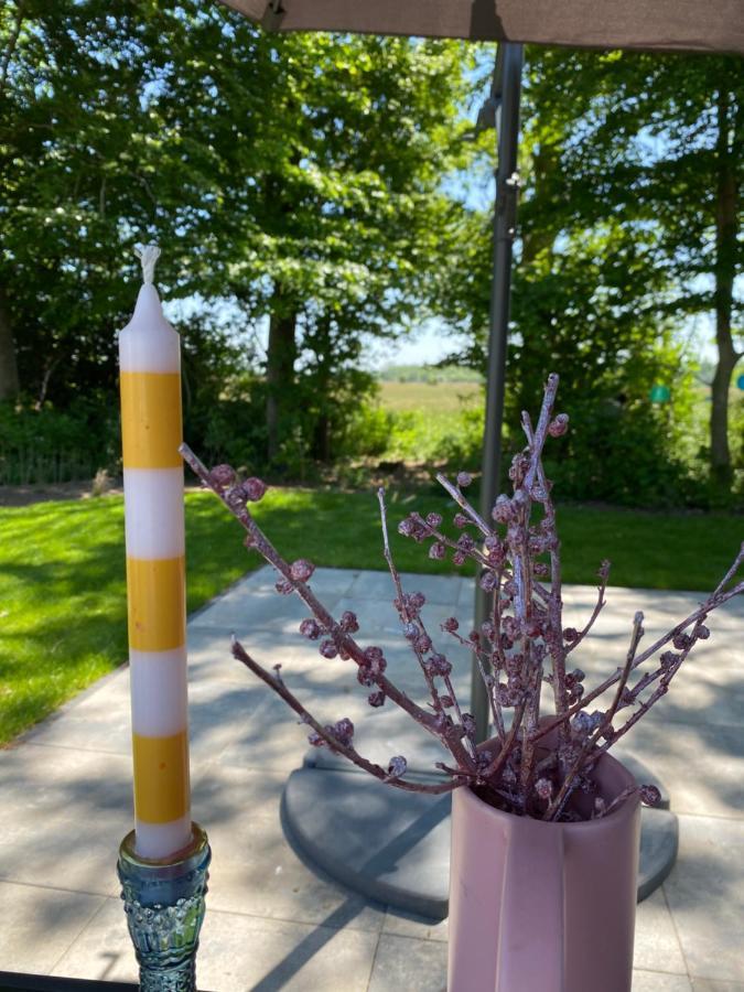 Luxe En Gezellig Chalet Aan Veluwemeer 4 Pers 훌쇼스트 외부 사진